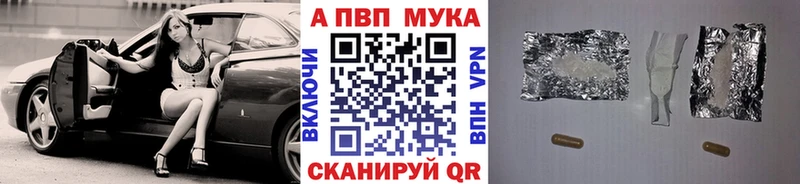 А ПВП СК КРИС  Высоцк 
