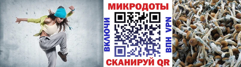 Галлюциногенные грибы Psilocybe  Высоцк 